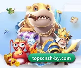 每个板块围绕一个运动项目展开（boyu tiyu）
